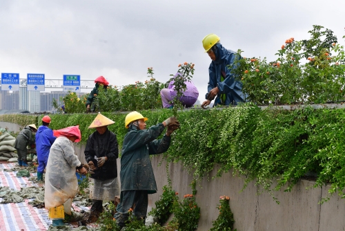 九游·会(J9.com)集团官网 - 真人游戏第一品牌[首页]