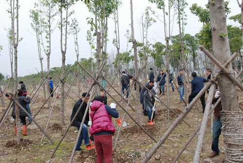 九游·会(J9.com)集团官网 - 真人游戏第一品牌[首页]