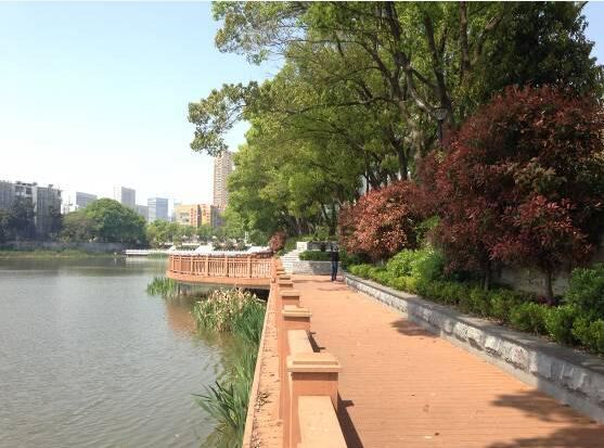 九游·会(J9.com)集团官网 - 真人游戏第一品牌[首页]