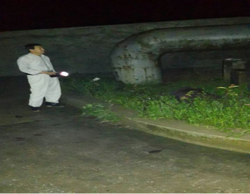 九游·会(J9.com)集团官网 - 真人游戏第一品牌[首页]