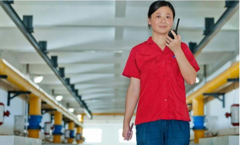 九游·会(J9.com)集团官网 - 真人游戏第一品牌[首页]