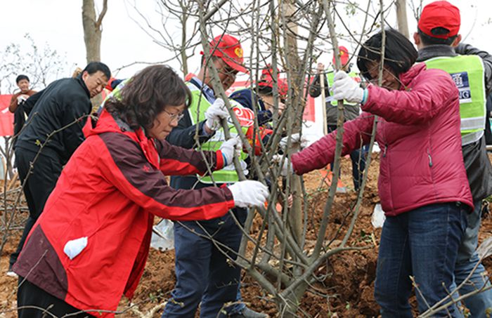 九游·会(J9.com)集团官网 - 真人游戏第一品牌[首页]