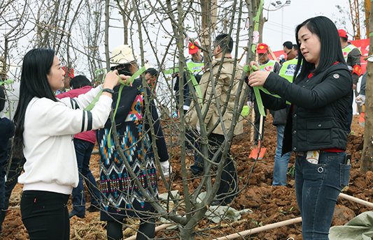九游·会(J9.com)集团官网 - 真人游戏第一品牌[首页]