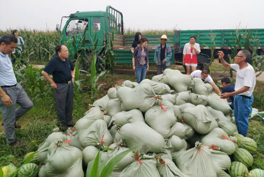 九游·会(J9.com)集团官网 - 真人游戏第一品牌[首页]
