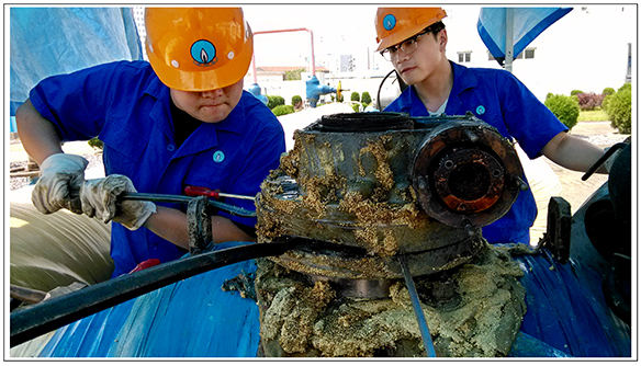 九游·会(J9.com)集团官网 - 真人游戏第一品牌[首页]