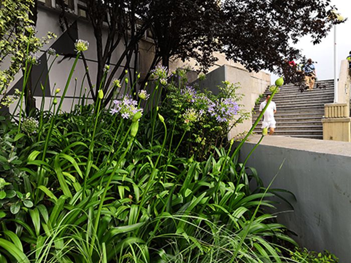 九游·会(J9.com)集团官网 - 真人游戏第一品牌[首页]