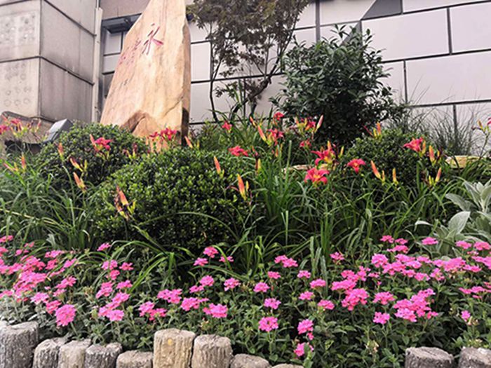 九游·会(J9.com)集团官网 - 真人游戏第一品牌[首页]