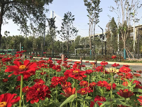 九游·会(J9.com)集团官网 - 真人游戏第一品牌[首页]